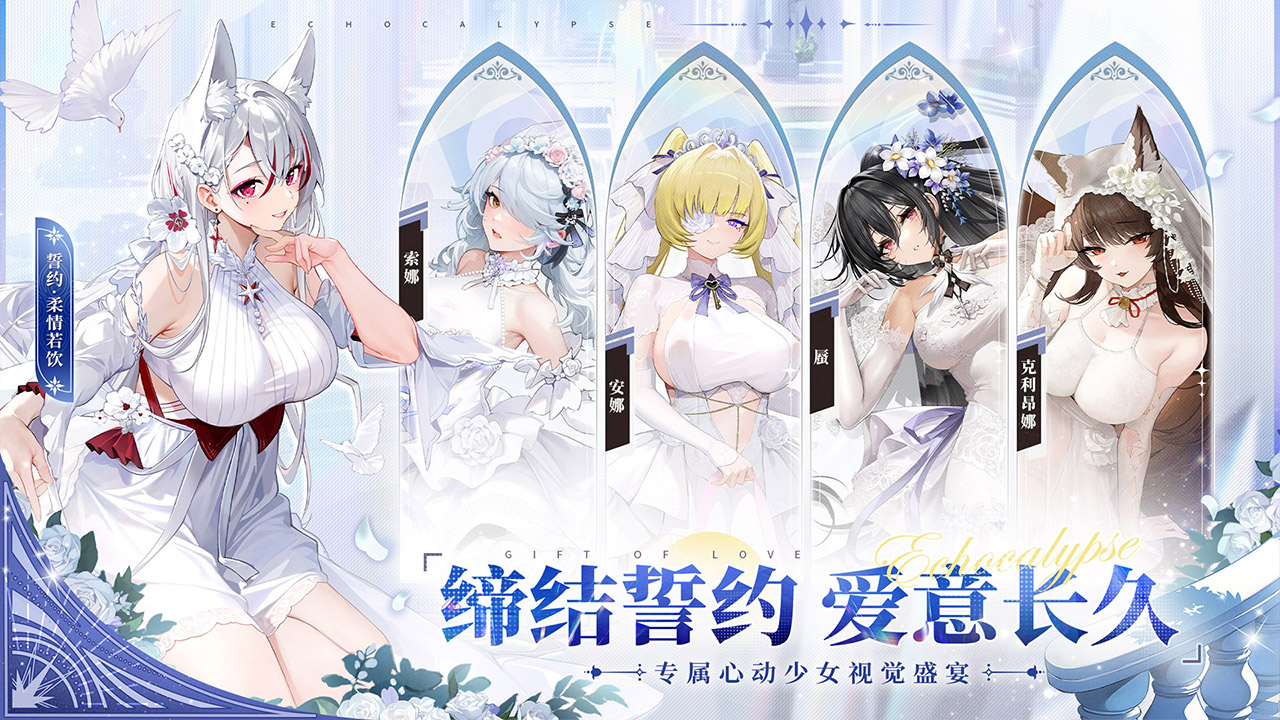 视频展示图